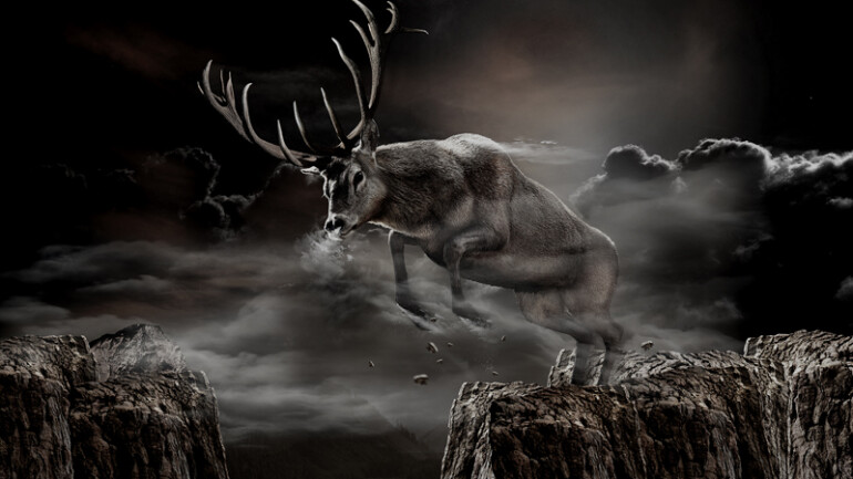 jelen strong / commercial