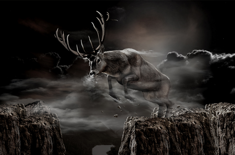 jelen strong / commercial